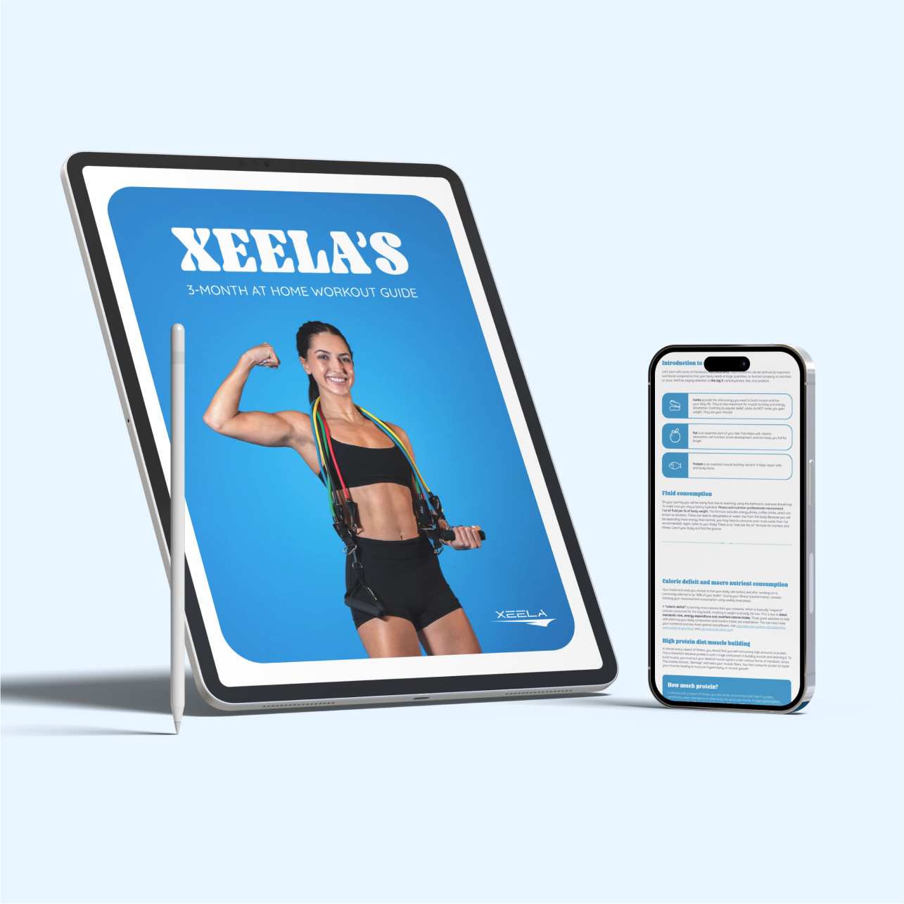 At-Home Workout Guide – Xeela® Fitness