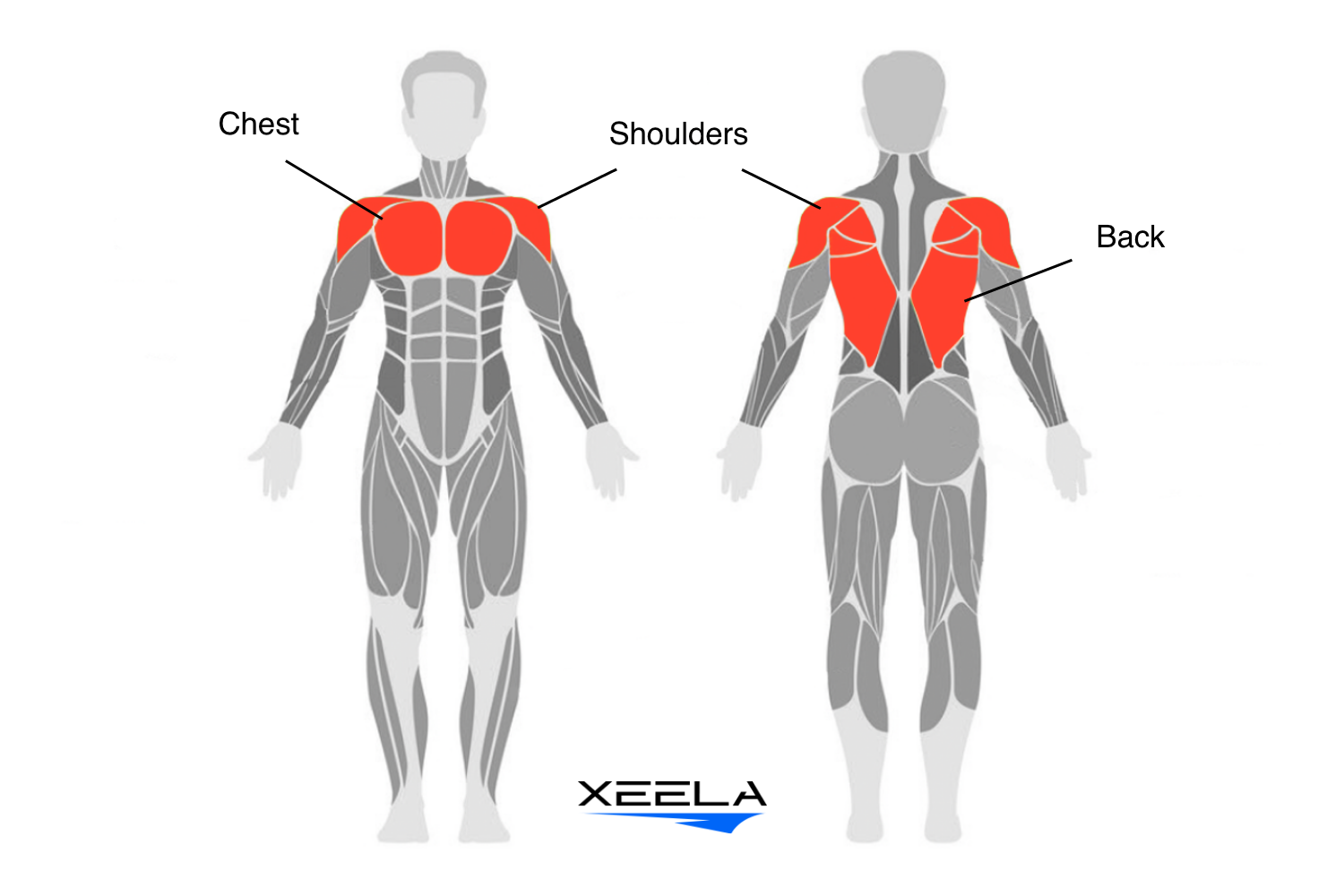 4-Week Protocol by XEELA® – Xeela® Fitness